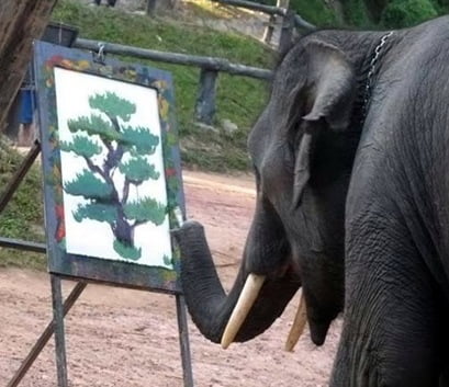 elefante-pintor-05_thumb3